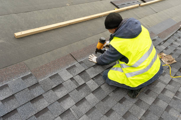 Roof Gutter Cleaning in Bellevue, IA