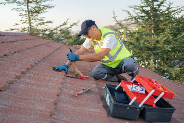 Best Best Roofing Contractors  in Bellevue, IA