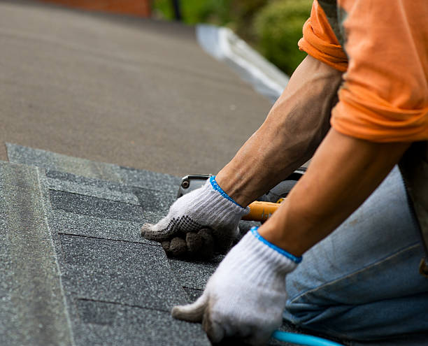 Best Local Roofing Companies  in Bellevue, IA