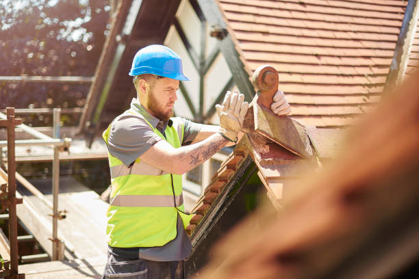 Best Storm Damage Roof Repair  in Bellevue, IA