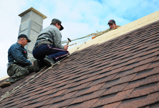 Quick and Trustworthy Emergency Roof Repair Services in Bellevue, IA