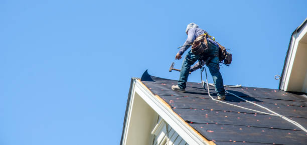 Best Roof Waterproofing Services  in Bellevue, IA